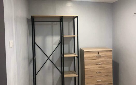 Furnished Townhouse in Deca Clark Residences