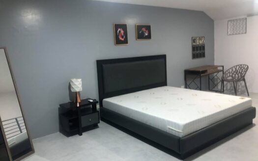 Furnished Townhouse in Deca Clark Residences