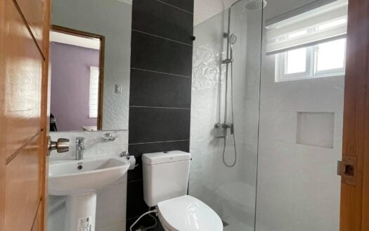 House with Swimming Pool For Rent in Angeles City