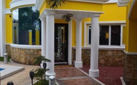 Magnificent Furnished House for Sale in Angeles City