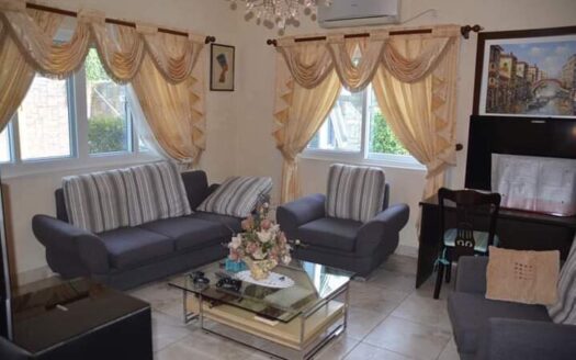 Magnificent Furnished House for Sale in Angeles City
