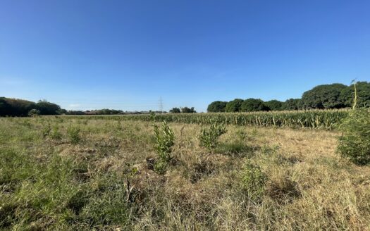 Farm Lot for sale in Magalang