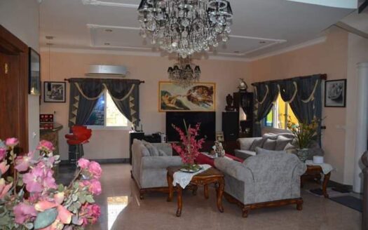 Magnificent Furnished House for Sale in Angeles City