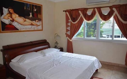 Magnificent Furnished House for Sale in Angeles City