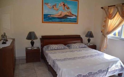 Magnificent Furnished House for Sale in Angeles City