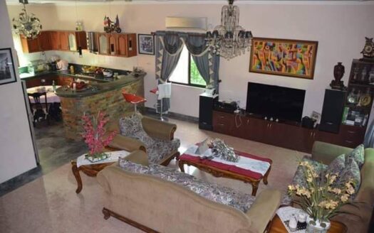 Magnificent Furnished House for Sale in Angeles City
