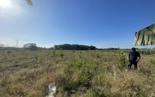 Farm Lot for sale in Magalang