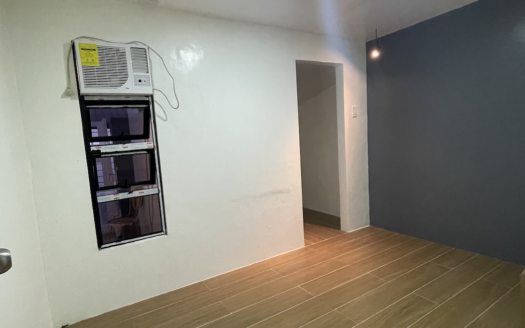 House for Rent in Deca Clark Phase 12