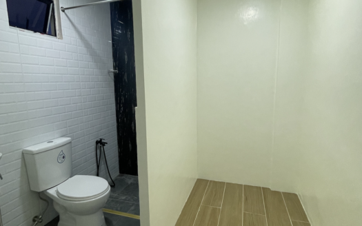 House for Rent in Deca Clark Phase 12