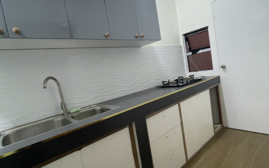 House for Rent in Deca Clark Phase 12