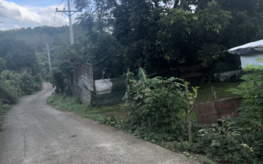 Farm Lot For Sale in Pinugay, Antipolo