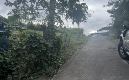 Farm Lot For Sale in Pinugay, Antipolo