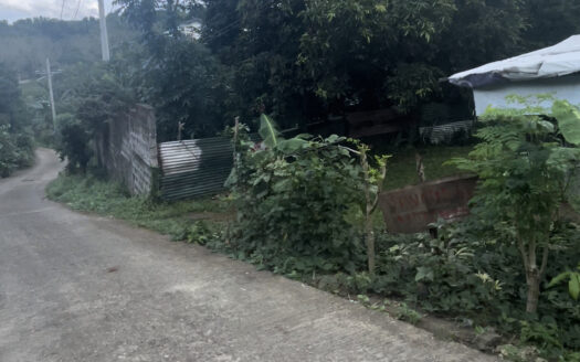 Farm Lot For Sale in Pinugay, Antipolo