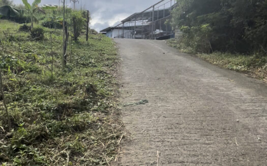 Farm Lot For Sale in Pinugay, Antipolo