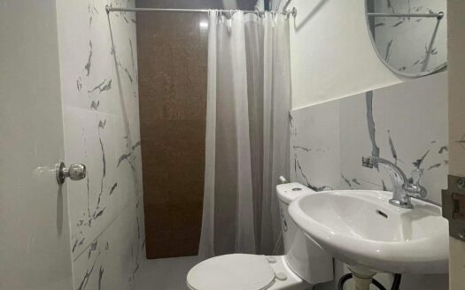 House For Rent in Deca Clark Res Angeles City