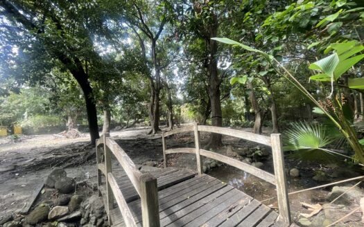 For Sale: 5,000 sqm Fruit Farm Lot with Stream