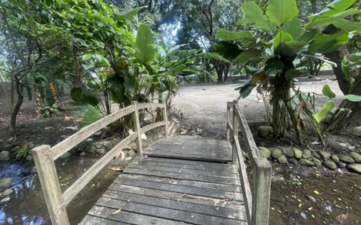 For Sale: 5,000 sqm Fruit Farm Lot with Stream