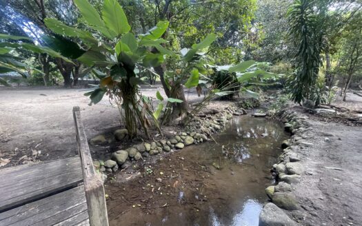 For Sale: 5,000 sqm Fruit Farm Lot with Stream