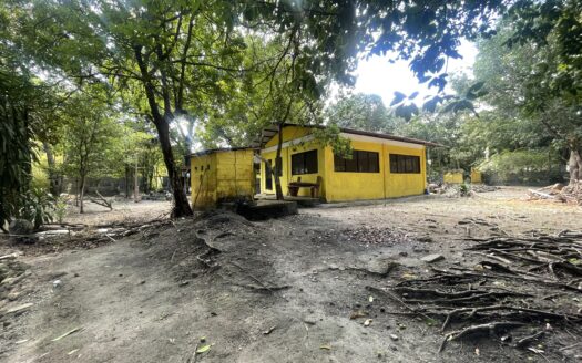 For Sale: 5,000 sqm Fruit Farm Lot with Stream