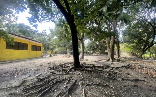For Sale: 5,000 sqm Fruit Farm Lot with Stream