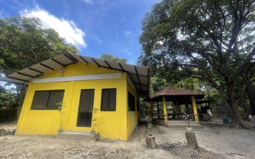 For Sale: 5,000 sqm Fruit Farm Lot with Stream