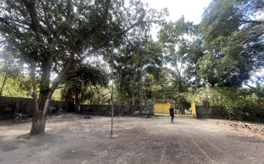 For Sale: 5,000 sqm Fruit Farm Lot with Stream