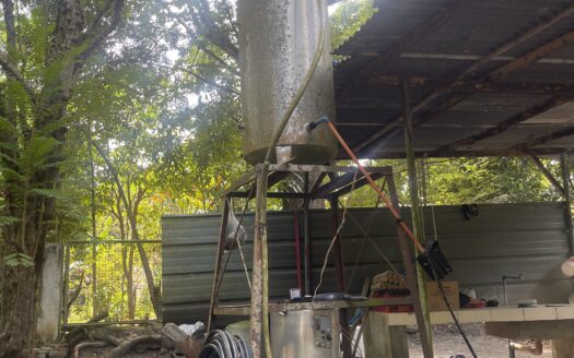 For Sale: 5,000 sqm Fruit Farm Lot with Stream