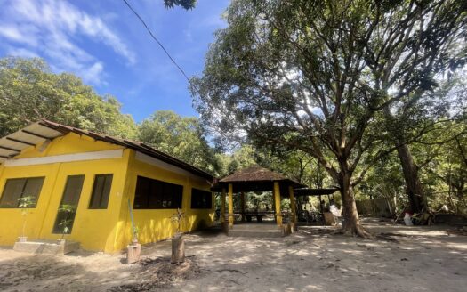 For Sale: 5,000 sqm Fruit Farm Lot with Stream
